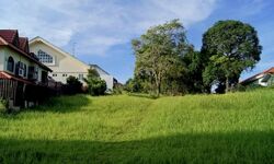 Dalvey Villas (D10), Detached #540581481